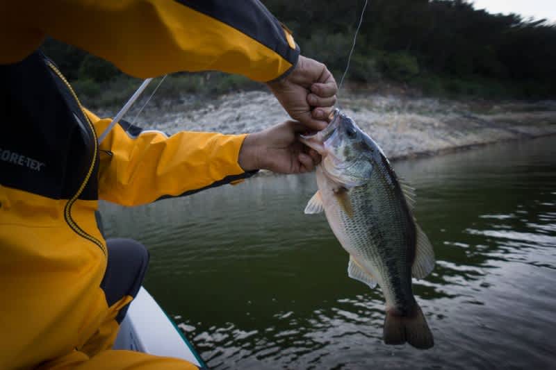Tactics for Catching Big Spring Bass