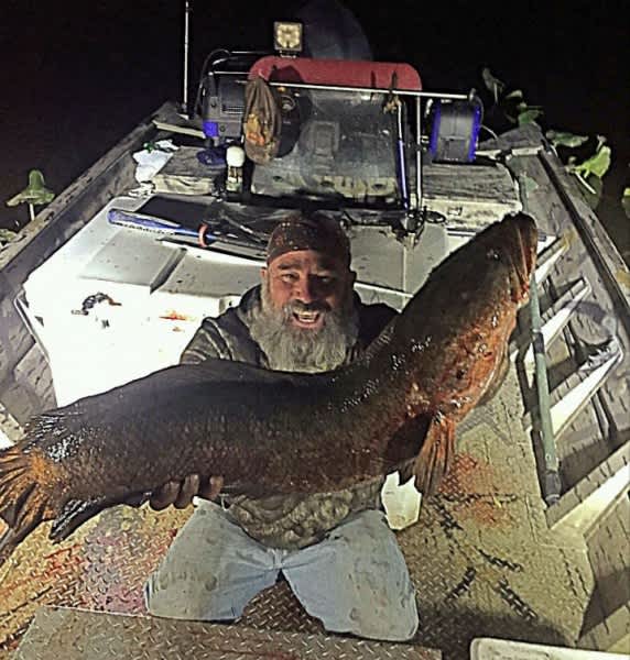 Maryland Bowfisherman Shoots Massive State Record Snakehead