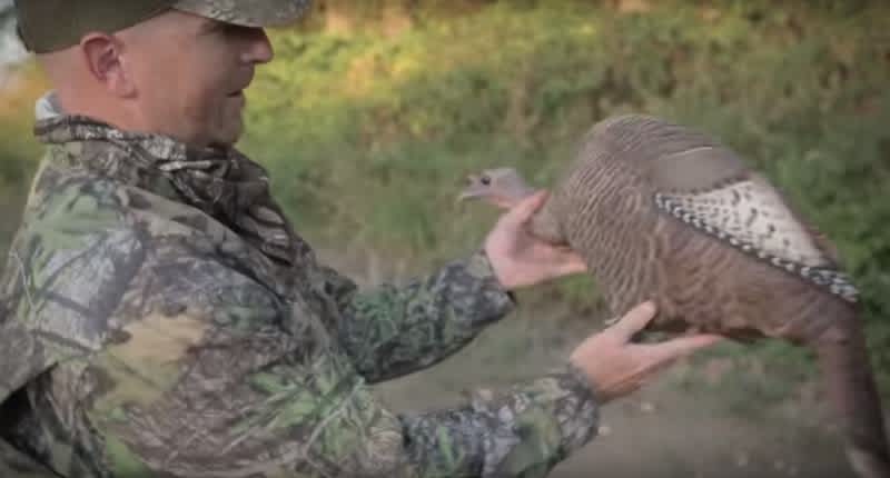 Torture Test Video: Shooting a $120 Turkey Decoy from 12 Yards