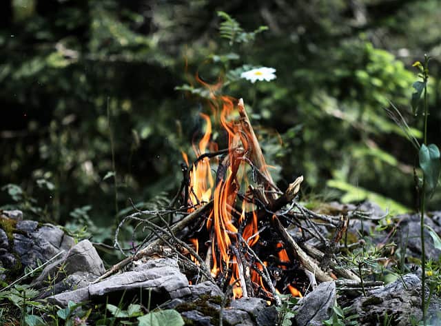 Optimize Your Campfire Based on Firewood BTUs