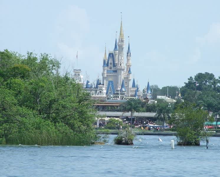 2-Year-old Boy Dragged Out of His Parents’ Arms by Alligator at Disney World Hotel
