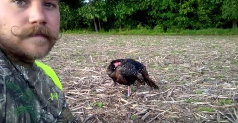 Video: Man Sneaks Up on Sleeping Wild Turkey