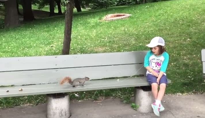 Squirrel Removes Child’s Loose Tooth