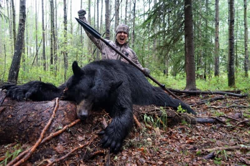 Video: Hunter Lands a Throw on Bear in Intense Ground Spear Hunt