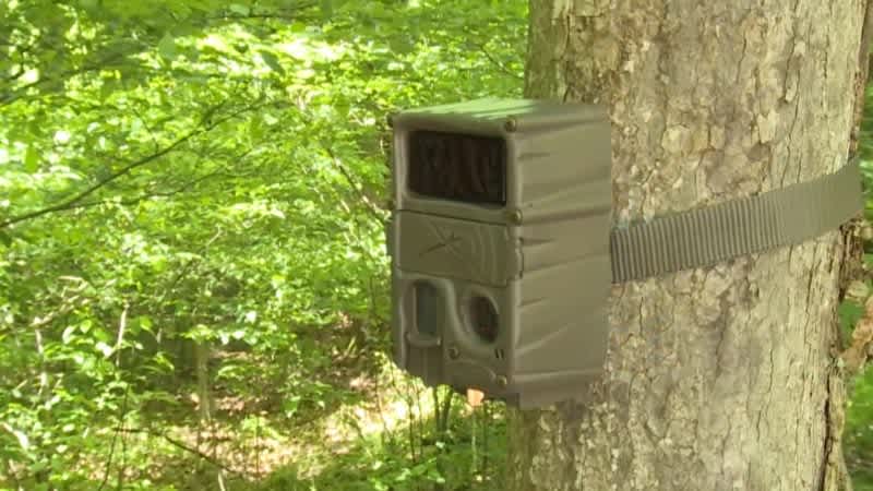 Officials Investigating Explosive Rigged Game Cameras in Kentucky
