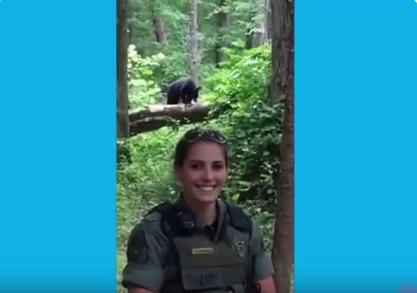 Maryland Natural Resources Police Officer Photobombed by Bear