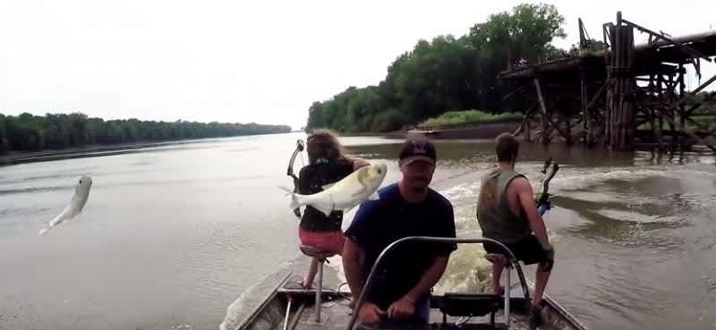 Video: Man Takes Jumping Carp to the Face