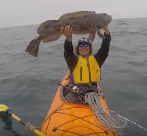 Video: Monster Lingcod Caught in Kayak