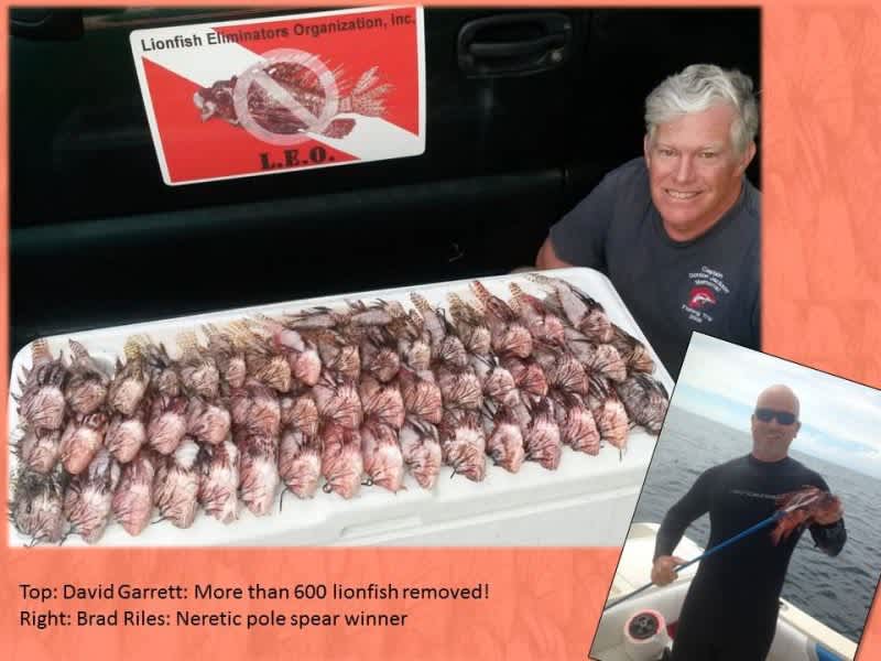 Florida Diver Removes Nearly 700 Poisonous Lionfish