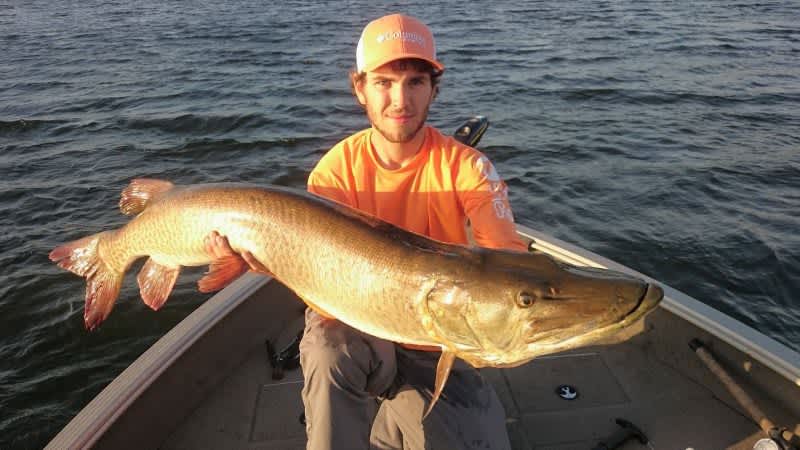 Minnesota Muskie Angler Lands Potential State Record