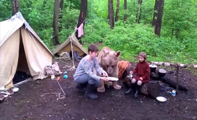 Video: Russian Family Brings Pet Brown Bear on Camping Trip