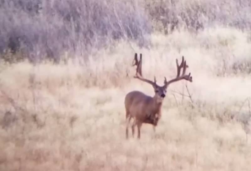 Video: Stop What You Are Doing and Check Out This Massive Rack