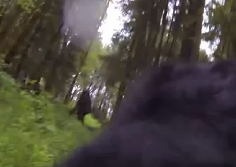 Video: Bigfoot Footage Caught on GoPro Attached to Dog