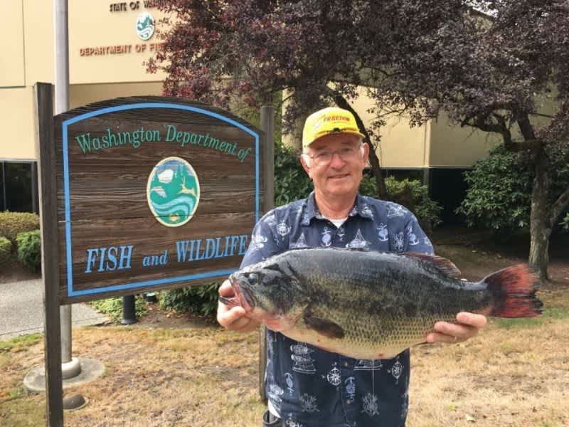 New Washington State Record Largemouth Bass