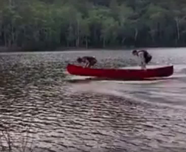 Video: Up a Creek Without a Paddle? No problem!