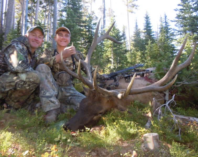 Archery Elk Tactics Through the Season