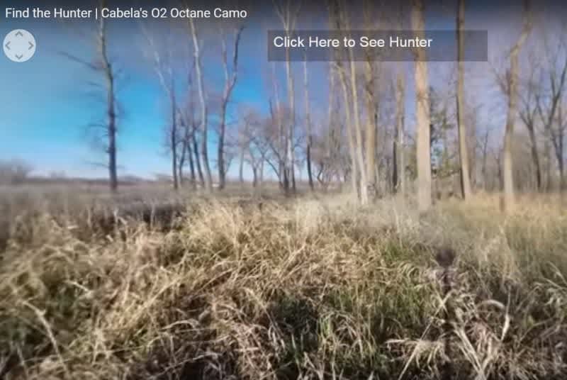 Video: Can You Spot the Hunter?