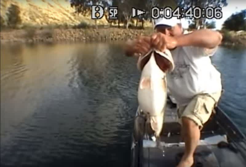 Video: Five Giant Bass Weigh more than 65 Pounds