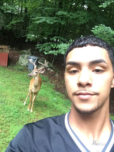 Video: Teenager Makes Friends With Deer Family