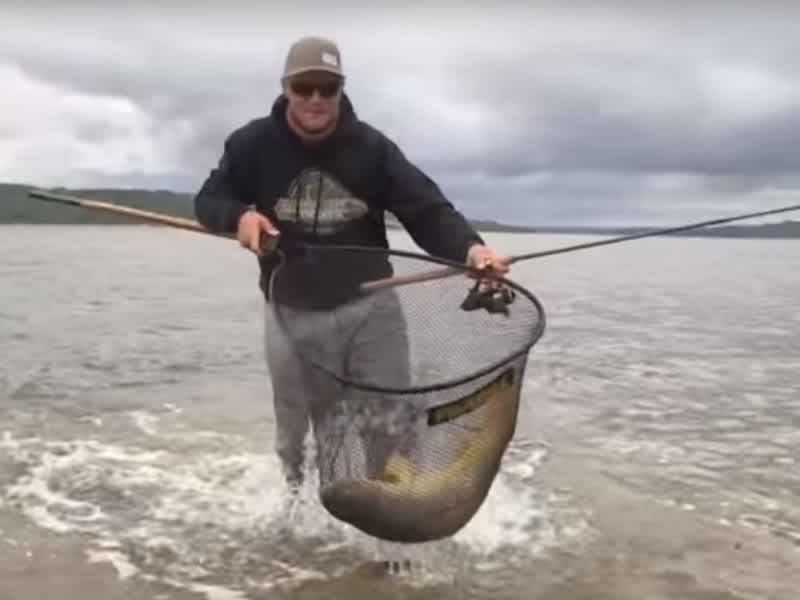 Video: Targeting Monster Carp from Shore