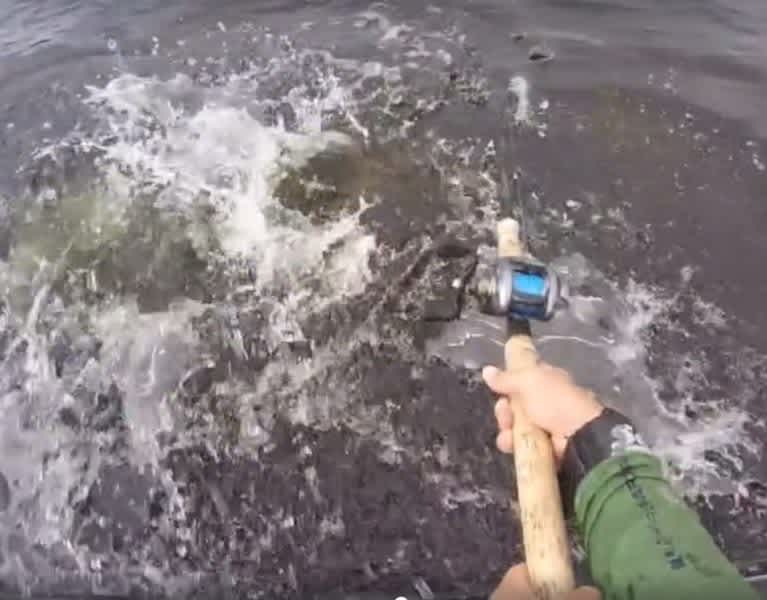Video: Huge Muskie Misses Lure, Soaks Angler