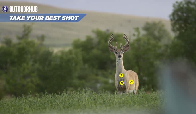 Tuesday’s Take Your Best Shot: Archery Early Season Whitetail