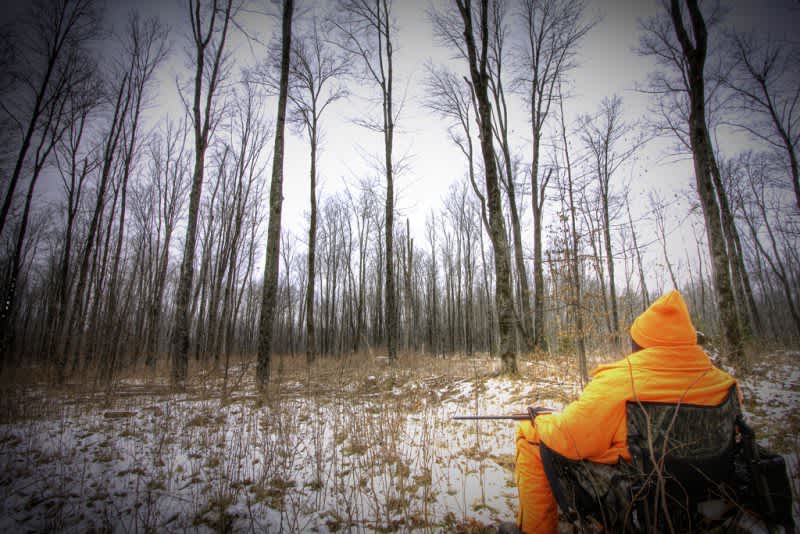 Sunday Hunting Law Changes on the Horizon