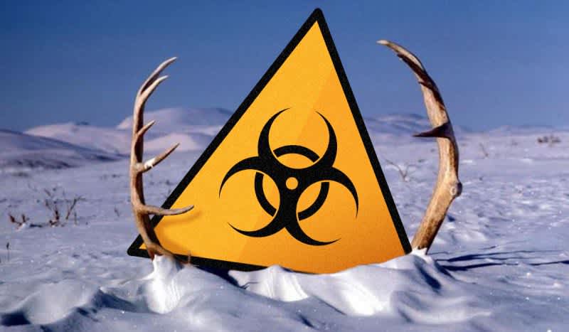 Melting Permafrost Thaws Dead Reindeer Causing Deadly ‘Zombie Anthrax’ Outbreak