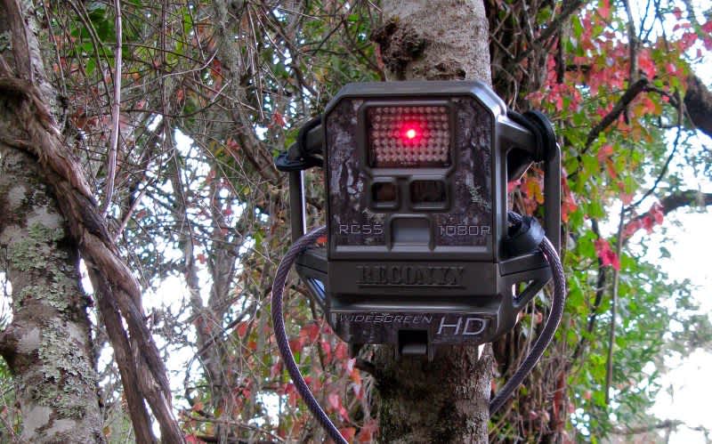 The ATF Issues Warning of More IEDs in Trail Cameras