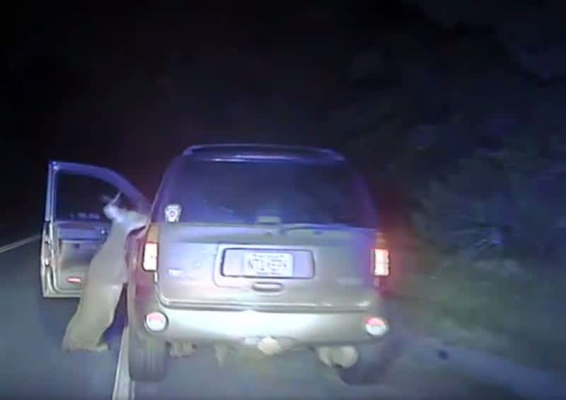 Video: 6-Point Buck Attacking Driver Captured by Police Dashcam