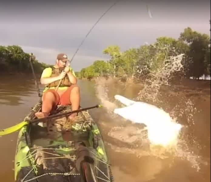 Video: Angler Catches Kayak-Sized Gator Gar