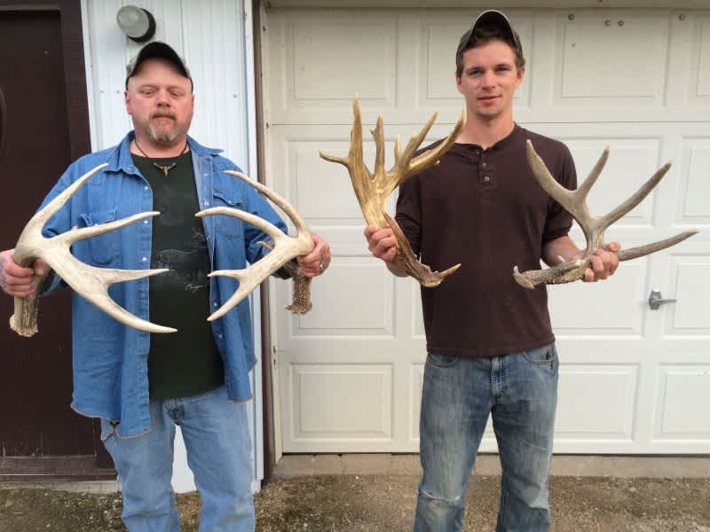 A Chess Match with Early Season Manitoba Whitetails