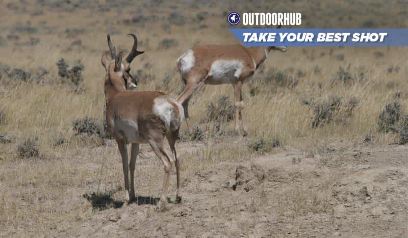 Tuesday’s Take Your Best Shot: Muzzleloader Pronghorn