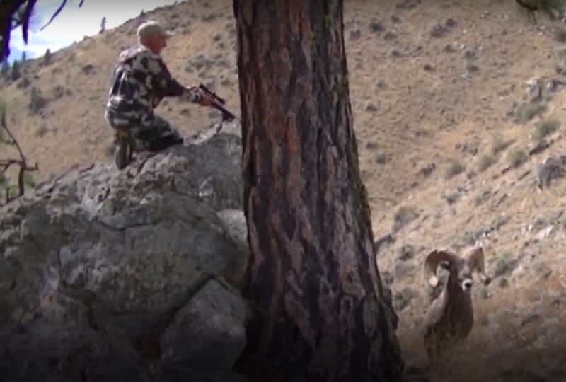 Video: Hunter Completes Sheep Grand Slam with Handgun