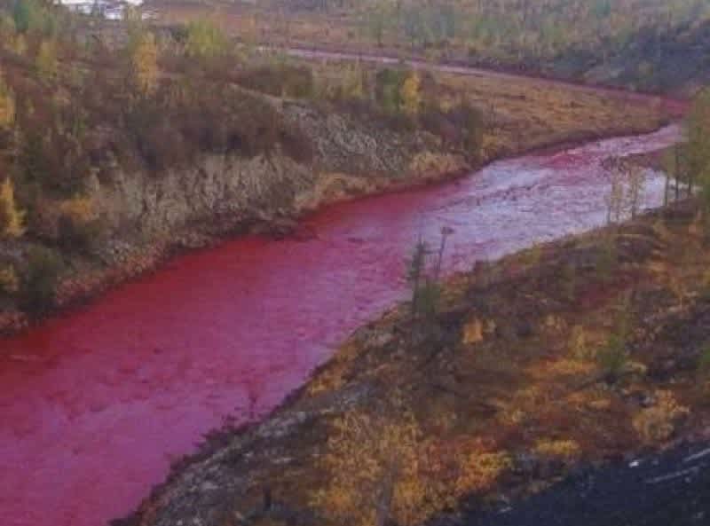 River in Russia Flows Blood Red