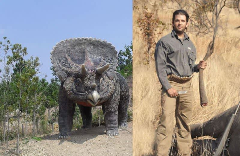 Video: Liberals Polled on the Street Believe Donald Trump Jr. Killed a Triceratops
