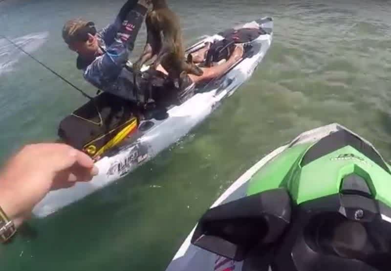 Video: Wallaby Lost at Sea Rescued by Jet Ski