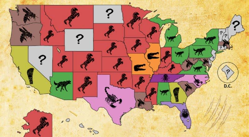 Infographic: These are the Deadliest Animals in Each State and Country
