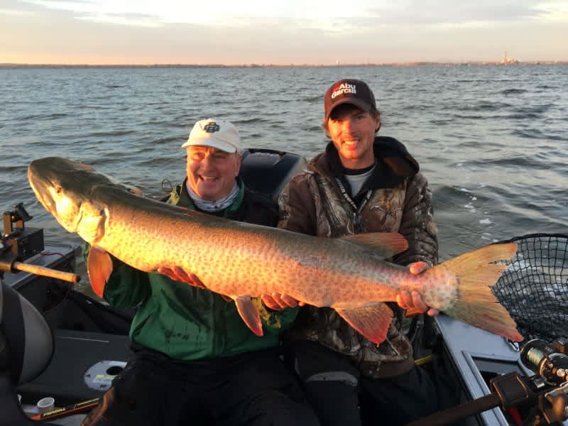 7 Muskies Landed in 1 Day! TWO 50-pounders!