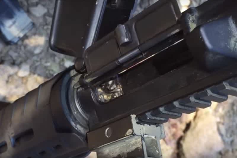 Video: Bee Somehow Causes Rifle to Jam