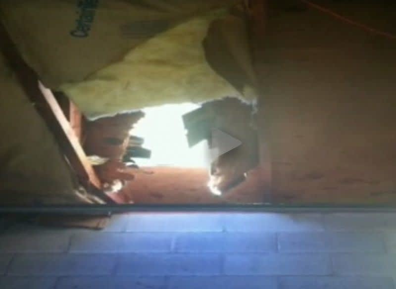 Deer Survives 40-Foot Fall from Bridge and then Through Roof