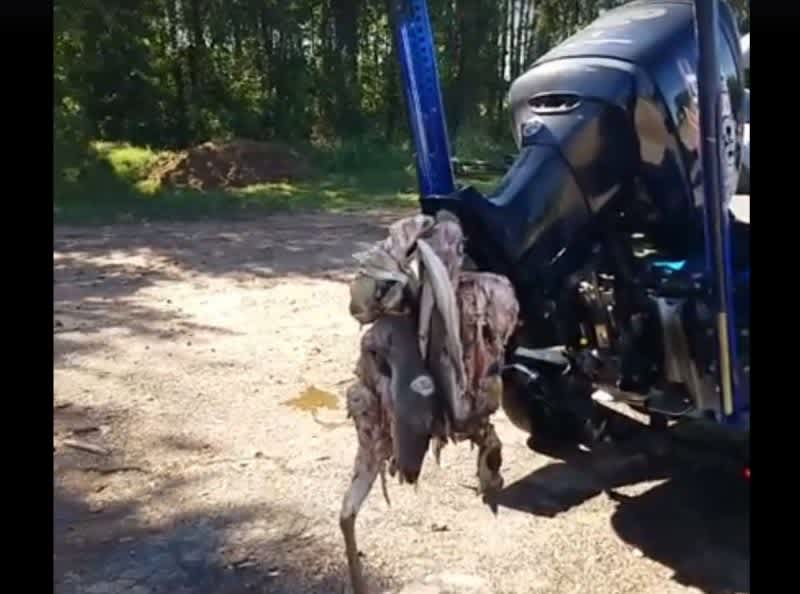 Graphic Video: Deer Tangled in Boat Propeller Causes Nightmare for this Fisherman
