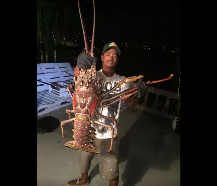 Leave the Butter at Home, This Giant Lobster was Caught and Released
