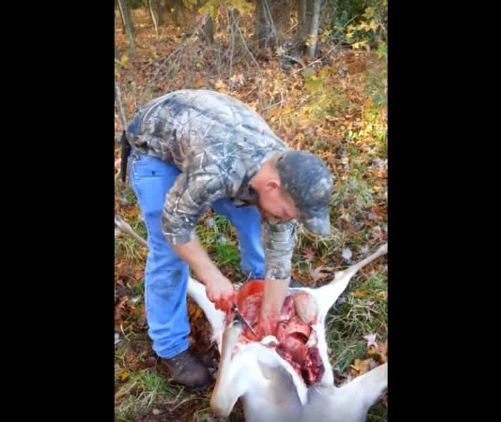Must-See Video: Field-Dressing Deer Fail