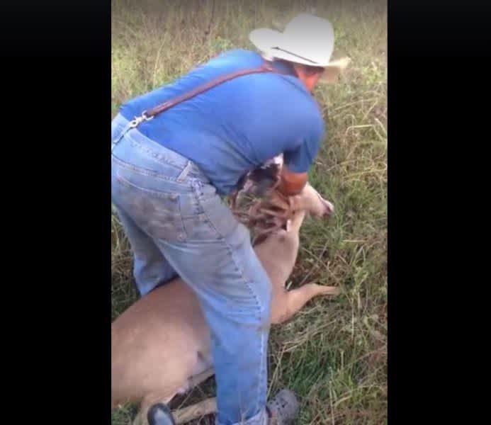 Video: Hunter Saves Two Bucks with Locked Antlers