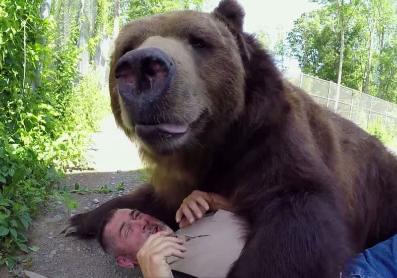 Wildlife Center Irresponsibly Putting Bears at Risk