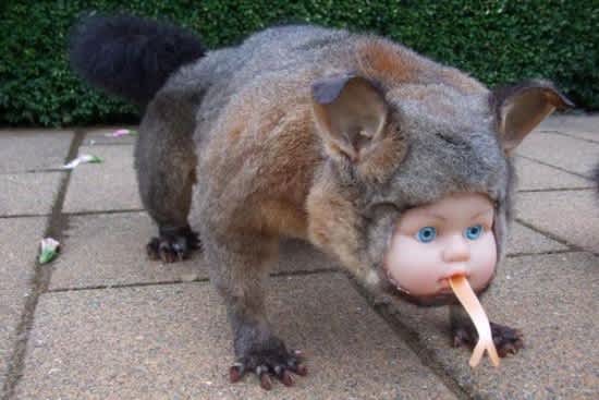These Spooky Taxidermy Jobs are Perfect for Halloween