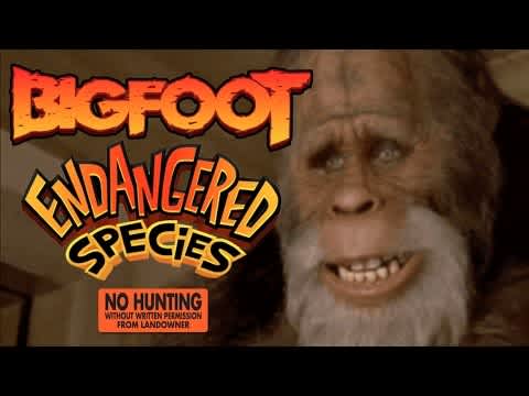 Video: Californians Sign Petition to Add Bigfoot to Endangered Species List