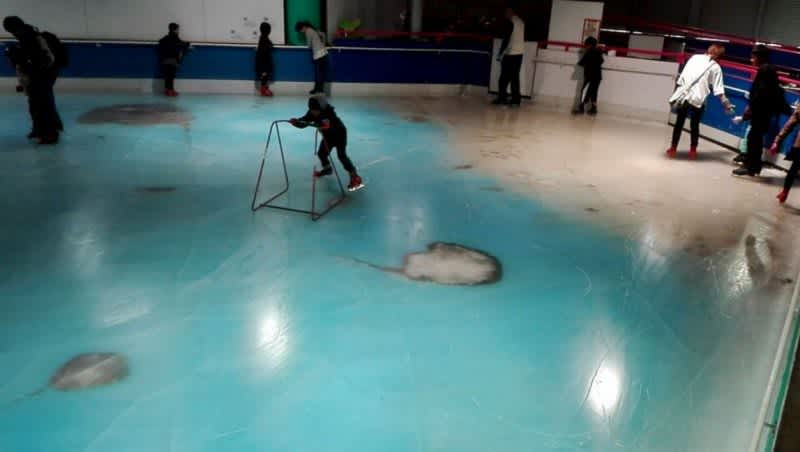 Ice Rink Turned into Frozen Graveyard After Fish Frozen in Ice