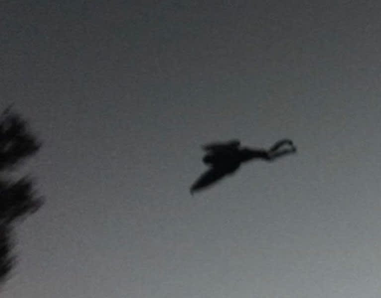 Man Takes Photographs of ‘Mothman’ Flying Across the Sky
